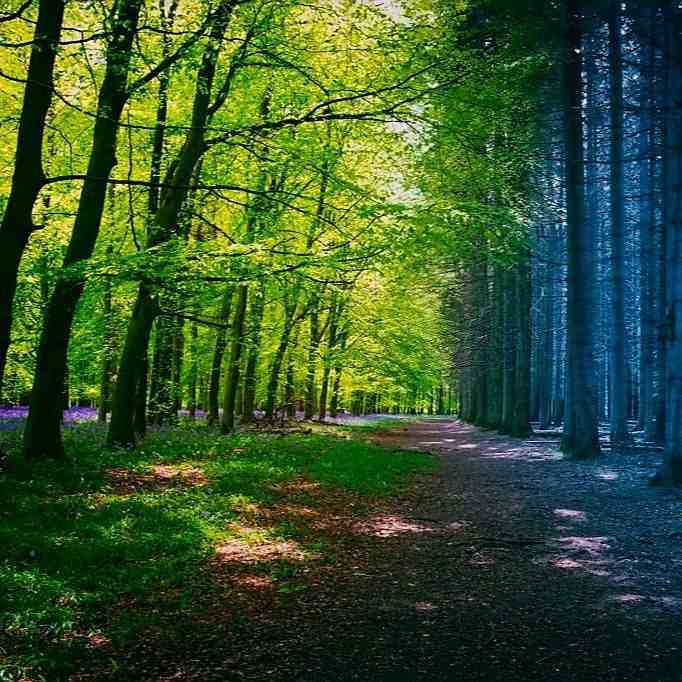 آهنگ جدید  بزن تار و بزن تار یک نفر میتونه قضاوت بکنه اونم خدا اینستایی